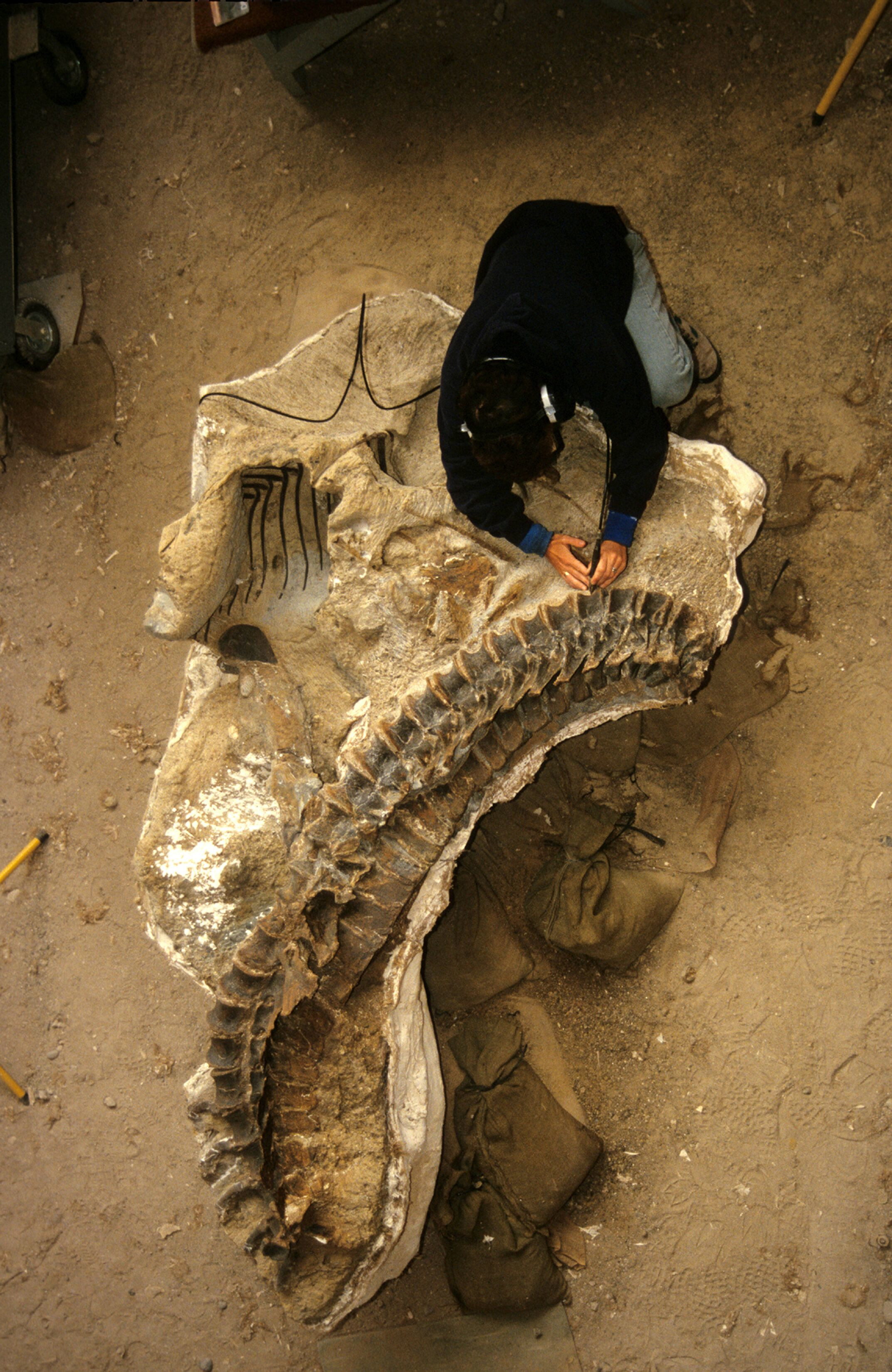 Tourweb-Fernweh-Angebote/USA/Städte/Vernal