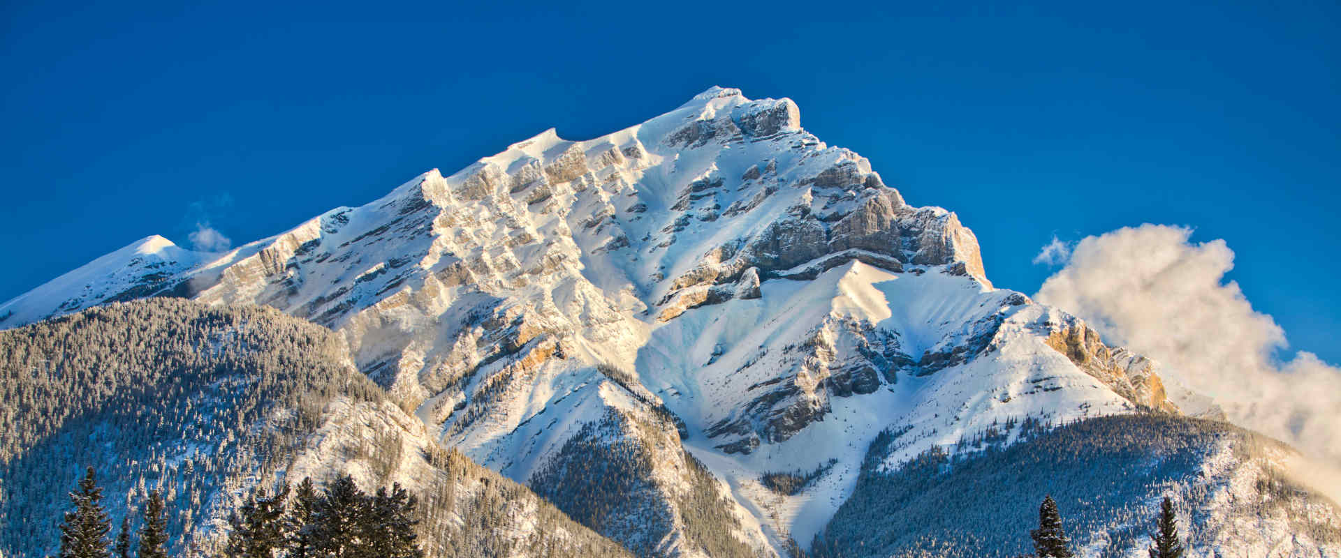 Alberta - Banff  - Winter Landschaft 1