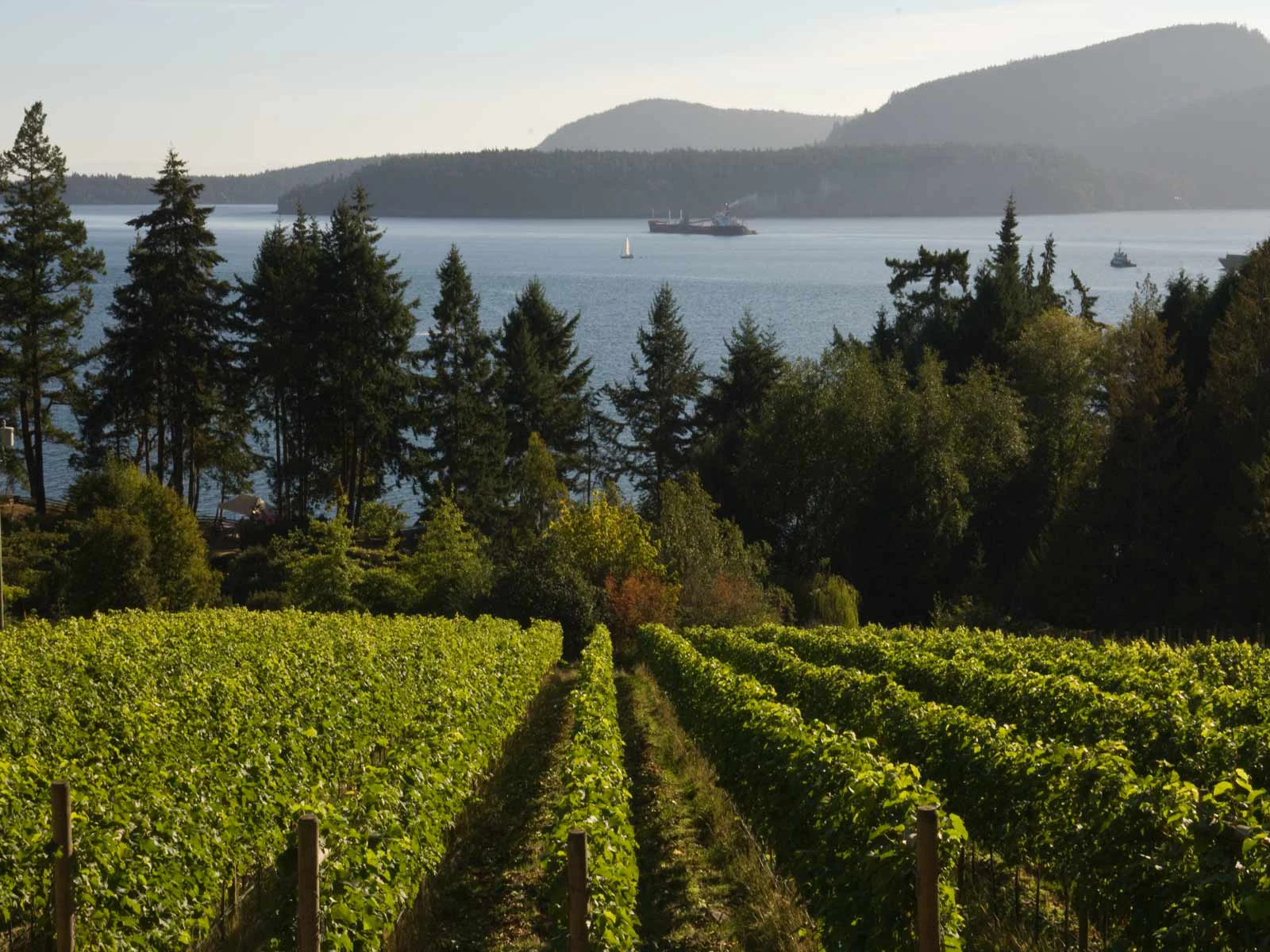 Vancouver Island