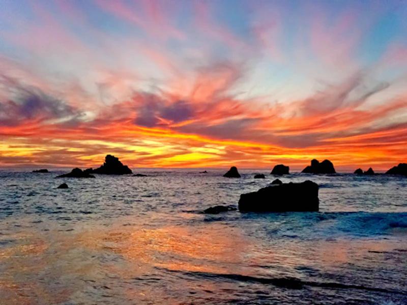 Sonoma County