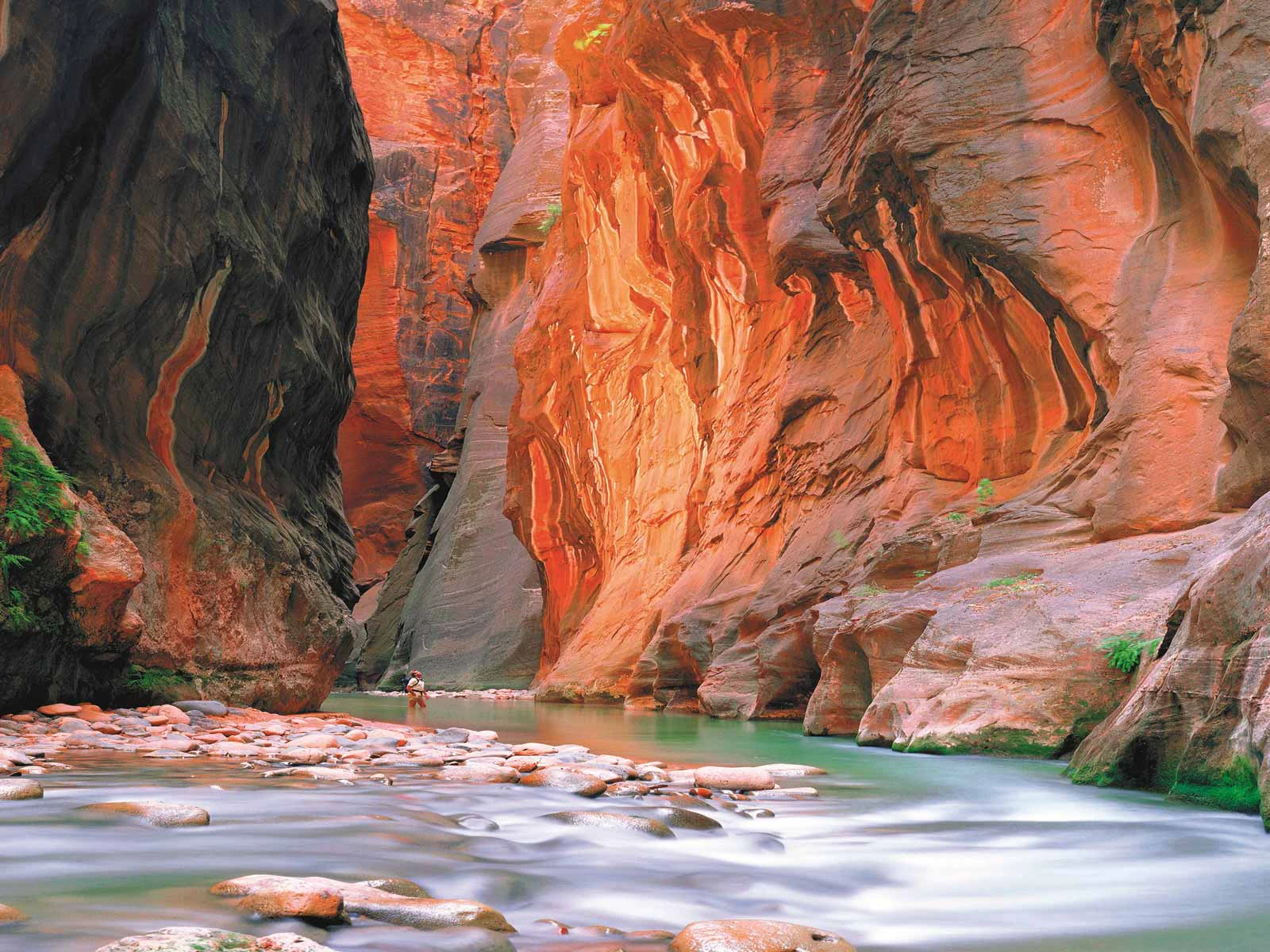 Zion Startseite