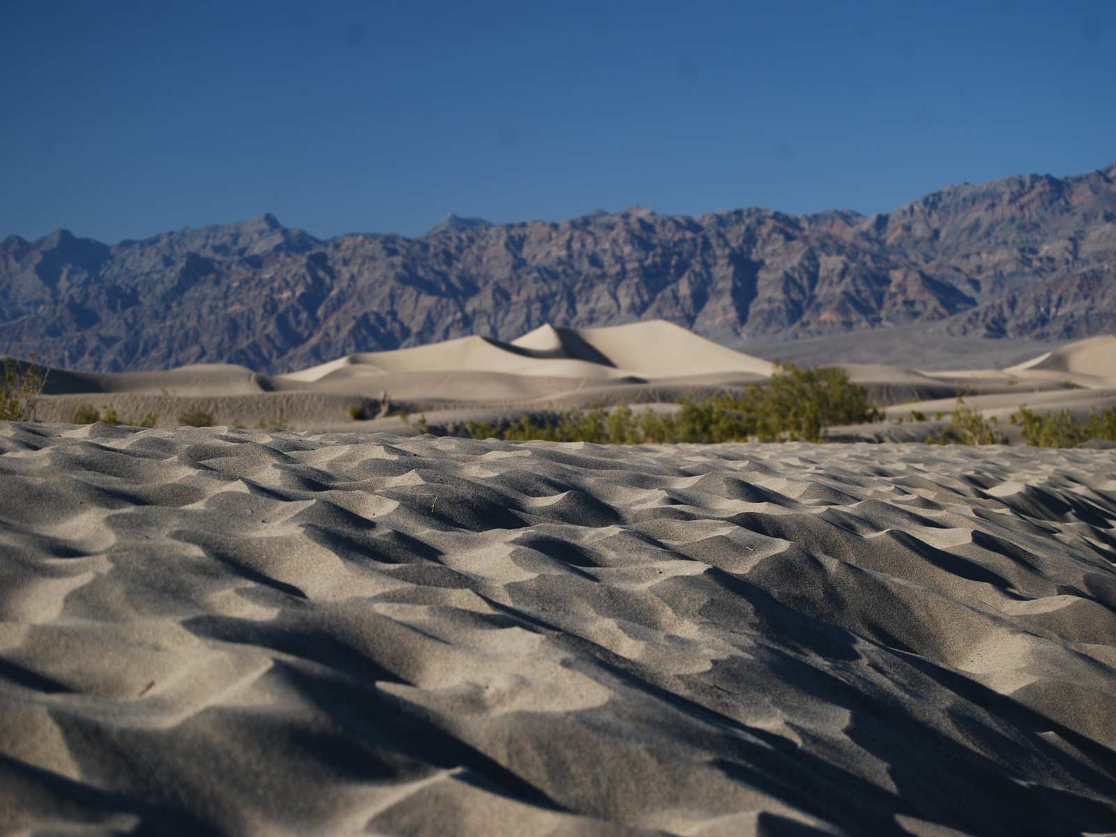Death Valley Startseite