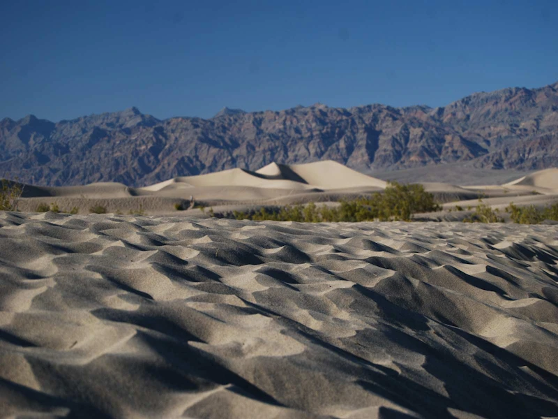 Death Valley Startseite