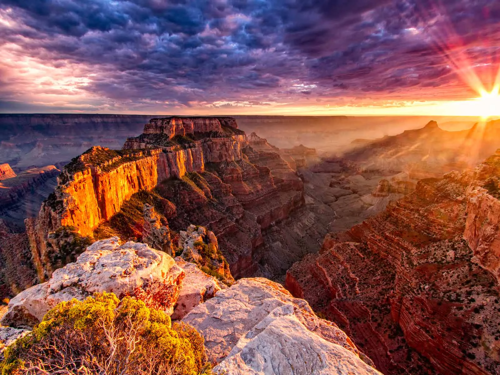 Grand Canyon Startseite