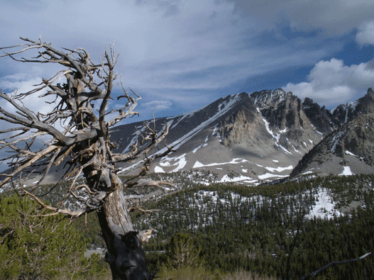 Great Basin Nationalpark