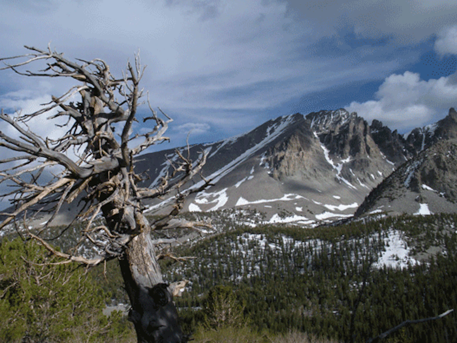 Great Basin2
