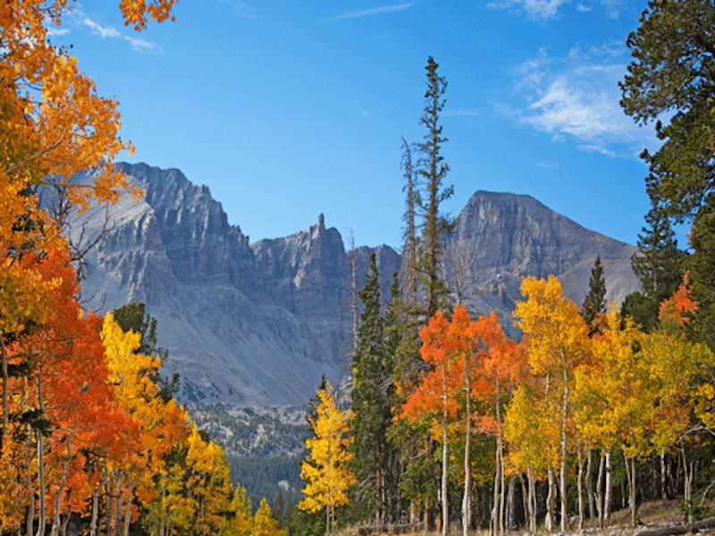 Great Basin1