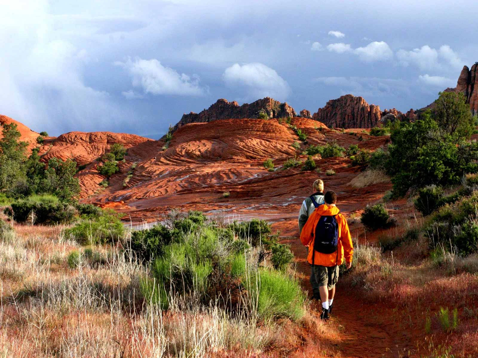 Snow Canyon
