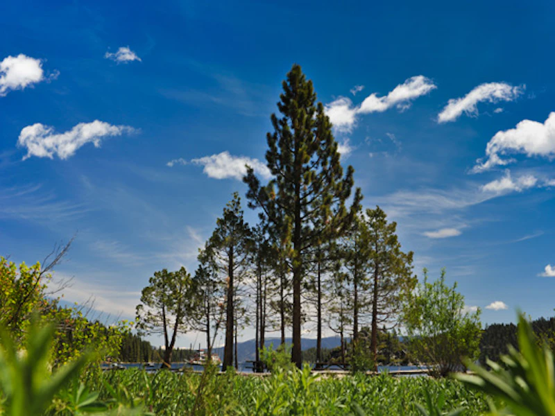 Lake Tahoe 4