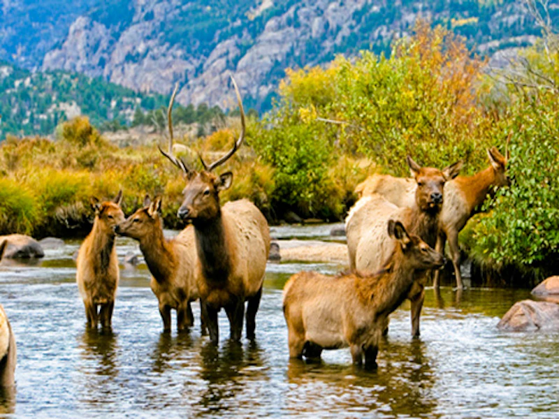 Rocky Mountains 1