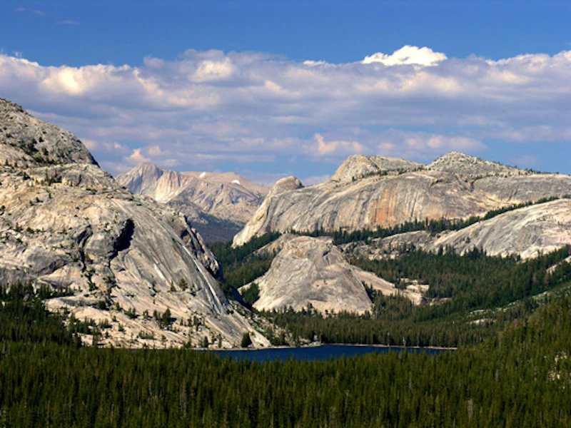 Yosemite Park 2