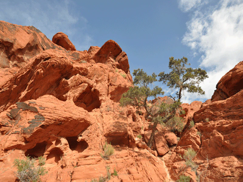 Valley of Fire3