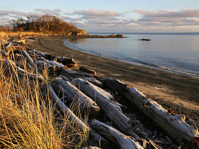 Pacific Rim Nationalpark