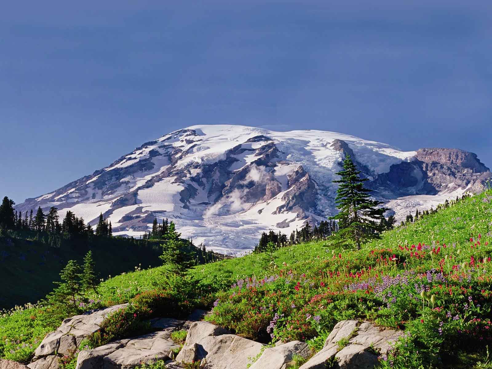 Mt Rainier Startseite