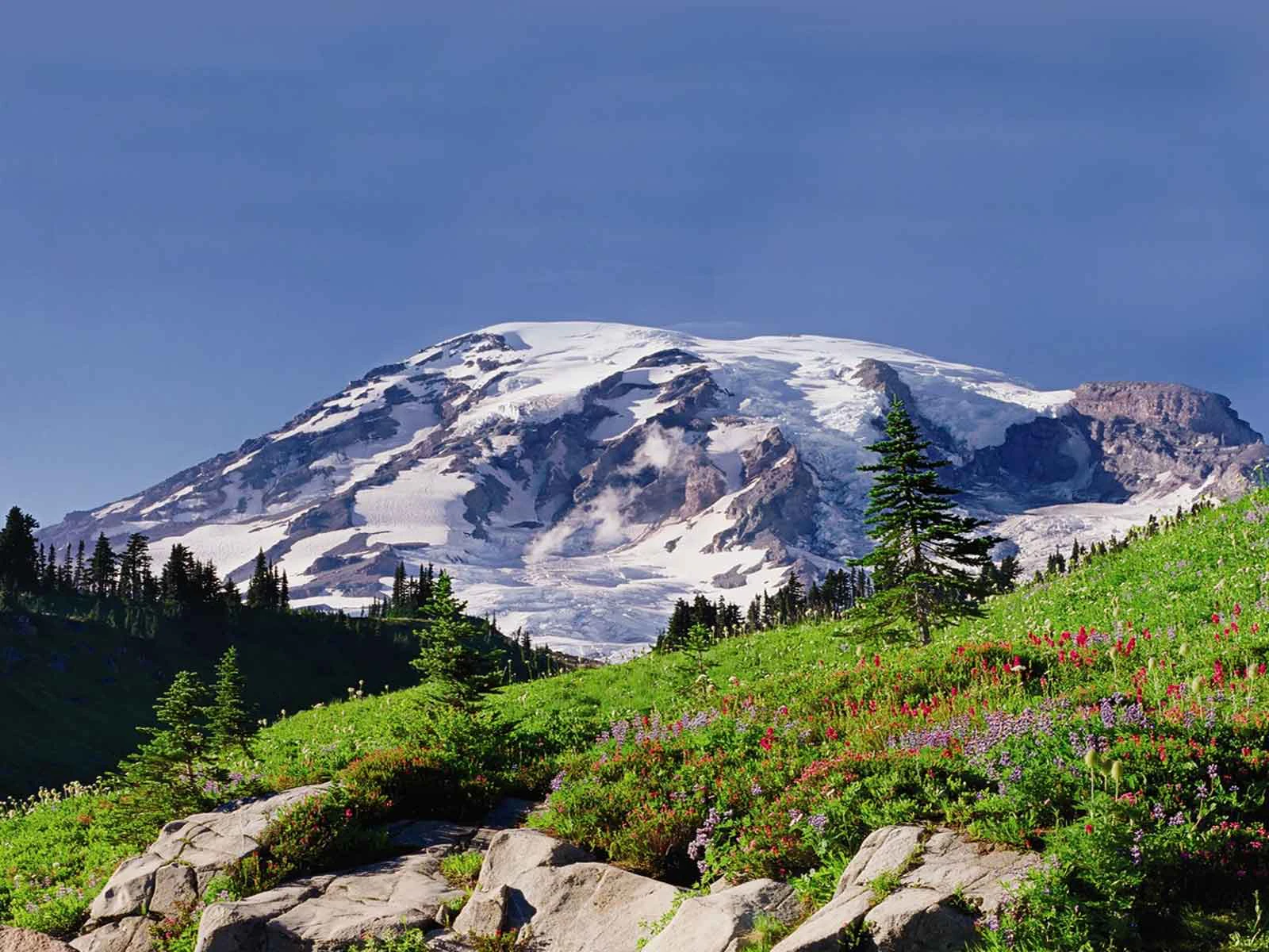 Mt Rainier Startseite