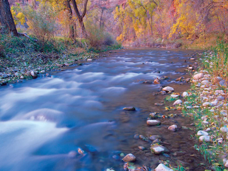 Zion NP 2