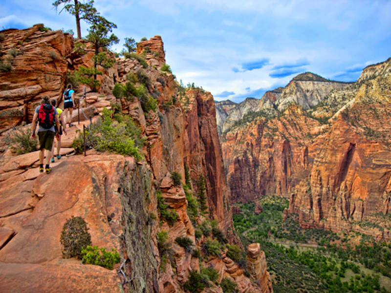 Zion NP 1