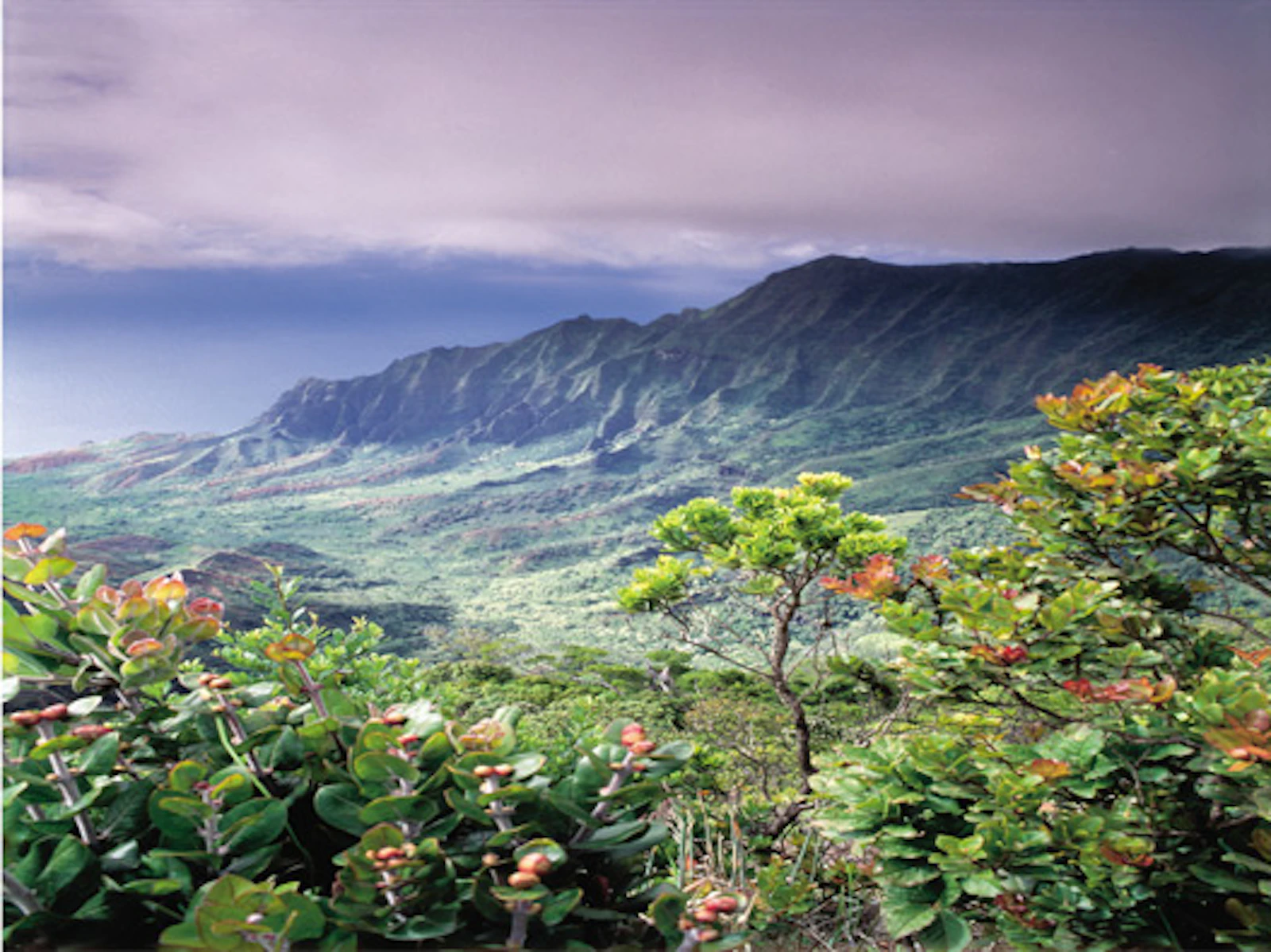 Kauai