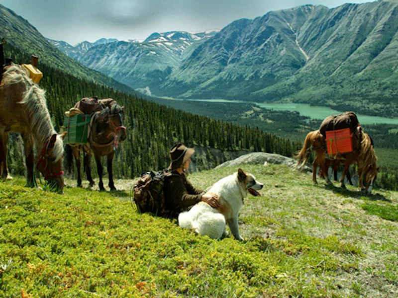 Whitehorse 1