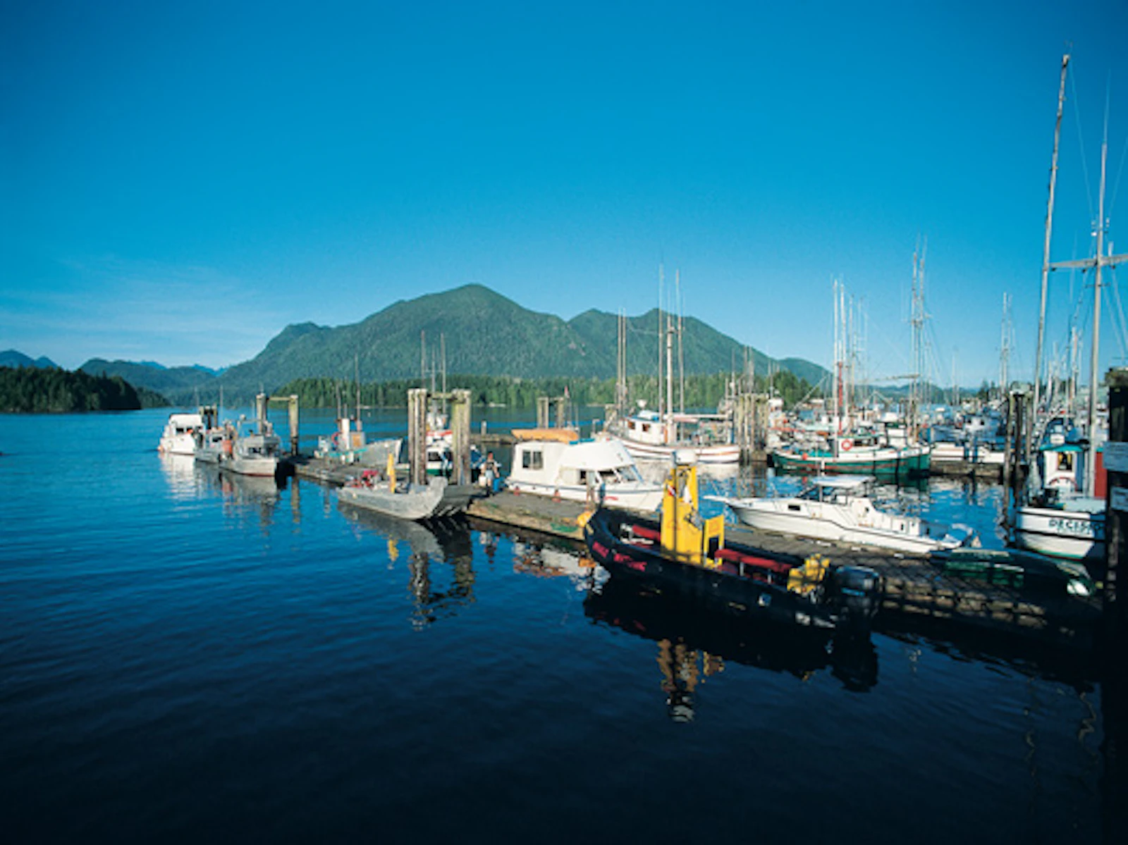 Tofino