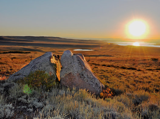 Laramie