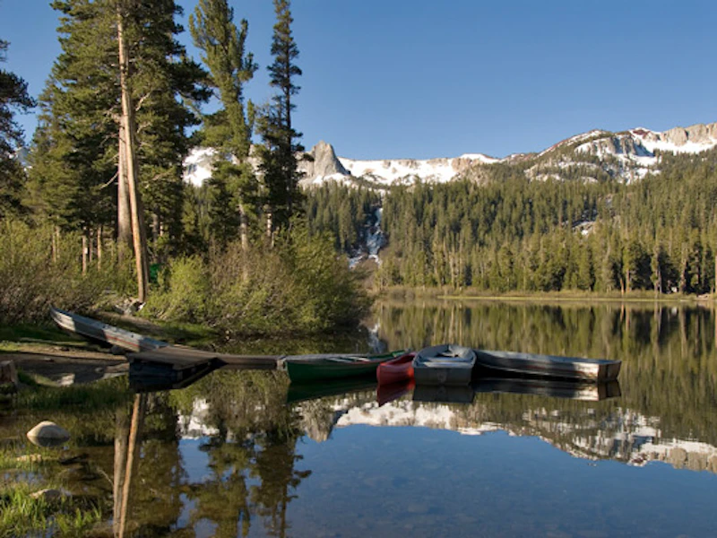 Mammoth