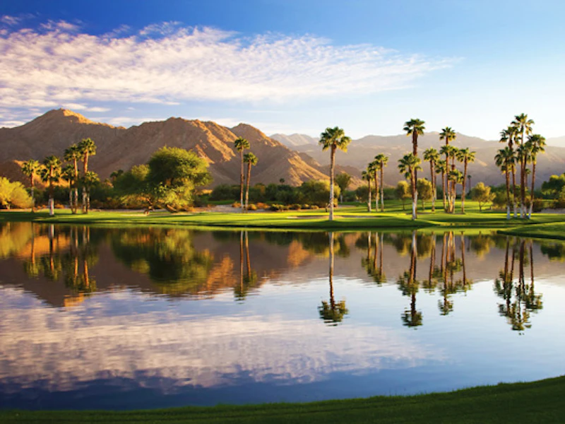 Palm Springs 1