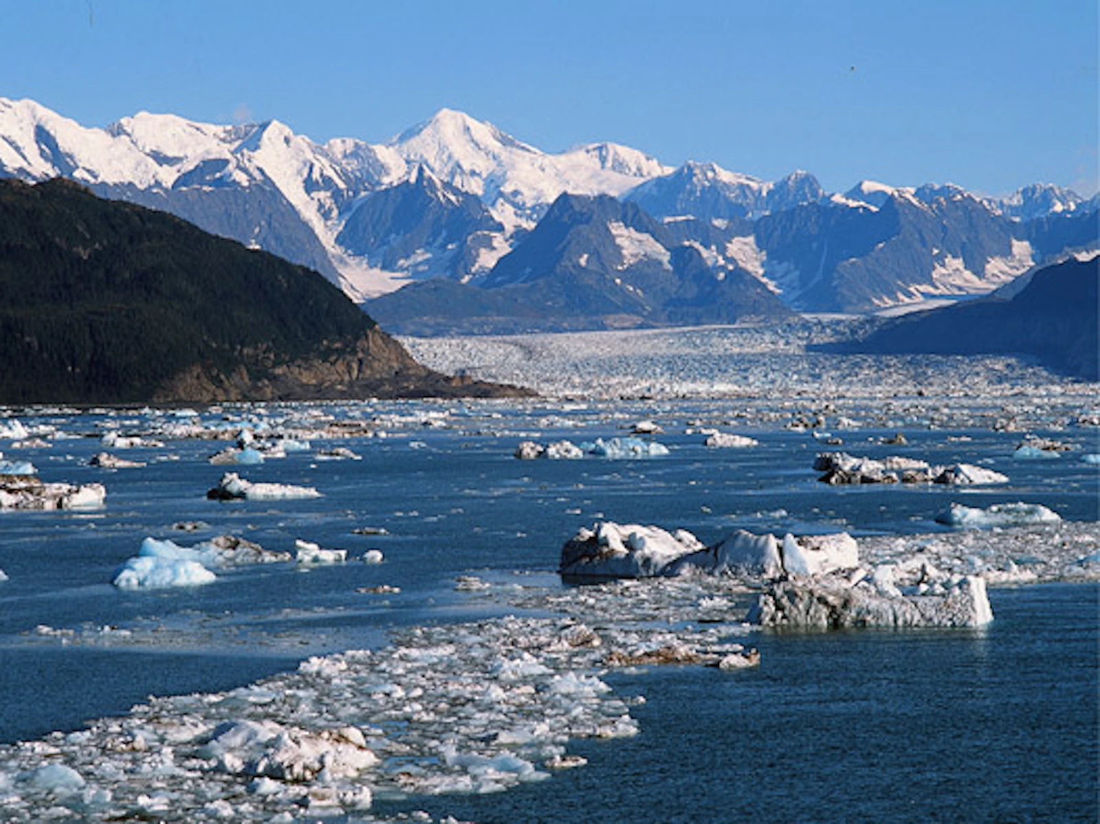 Seward