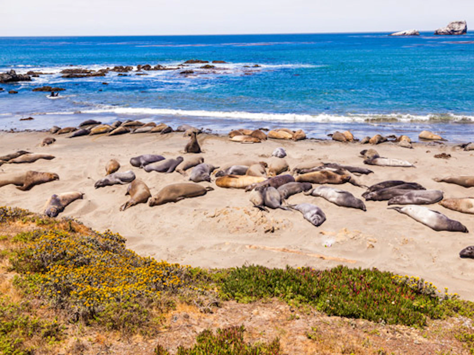 San Simeon